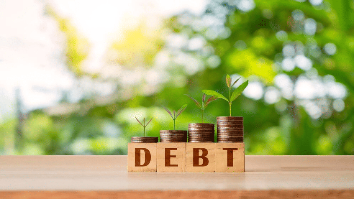 Debt on India | External Debt | क्या सरकार के पास कर्ज लेने के अलावा कोई चारा नहीं बचा है?
