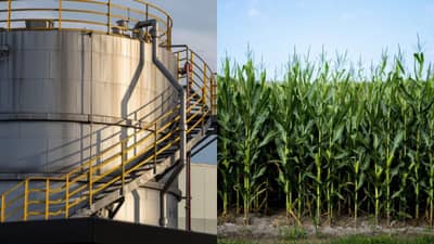 अब गन्ने से बिना रोकटोक बनेगा एथनॉल, सरकार ने दी मंजूरी, शुगर स्टॉक्स में दिख सकती है हलचल अब गन्ने से बिना रोकटोक बनेगा एथनॉल, सरकार ने दी मंजूरी, शुगर स्टॉक्स में दिख सकती है हलचल