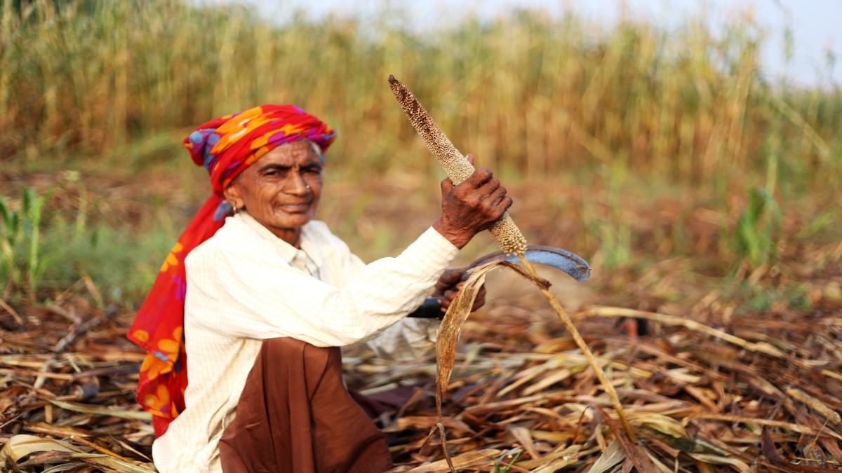 इस राज्य के किसानों को मुफ्त में मोटे अनाजों के बीज बांट रही सरकार, जानें किसे मिल रहा फायदा