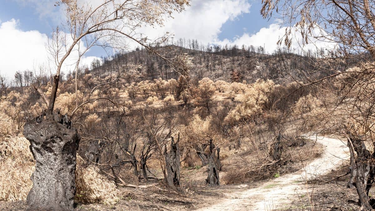 तीस साल पहले बाढ़ में इस गांव ने ले ली थी जलसमाधि, सूखे के कारण अब लिया नया जन्म तीस साल पहले बाढ़ में इस गांव ने ले ली थी जलसमाधि, सूखे के कारण अब लिया नया जन्म