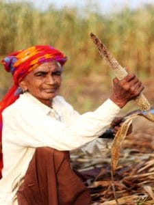 सस्टेनेबल खेती: लागत बचत से लेकर बड़े मुनाफे तक का स्मार्ट रास्ता