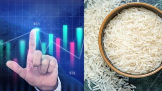 25% टैरिफ की मार! ईरान से कारोबार करती हैं ये देसी कंपनियां, शेयरों पर दिखेगा असर? जानें एक्सपर्ट व्यू