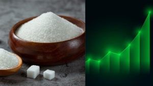 एथनॉल पर इन दो बड़े फैसलों से शुगर स्टॉक्स में लगी रेस, 20% की तेजी के साथ इस कंपनी ने मारी बाजी एथनॉल पर इन दो बड़े फैसलों से शुगर स्टॉक्स में लगी रेस, 20% की तेजी के साथ इस कंपनी ने मारी बाजी