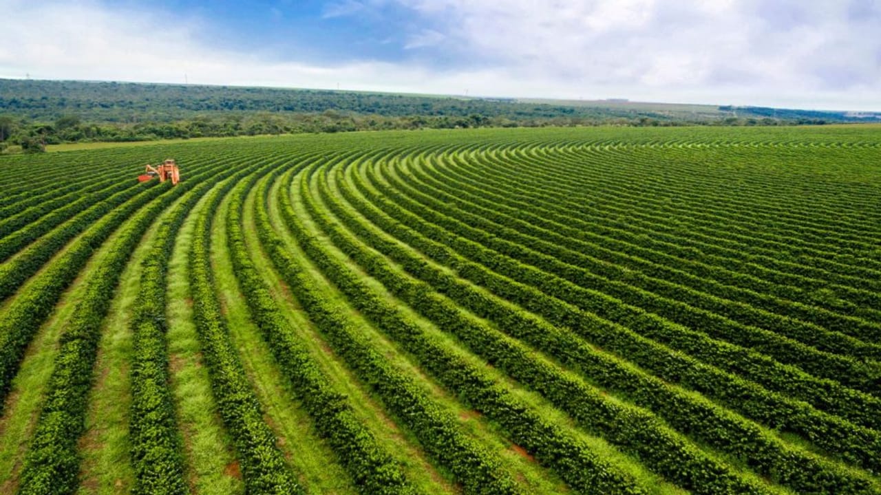 ड्रोन से लेकर IoT तक: एग्रीकल्चर में टेक्नोलॉजी बूम, नई तकनीकें बदल रही हैं खेती की परिभाषा