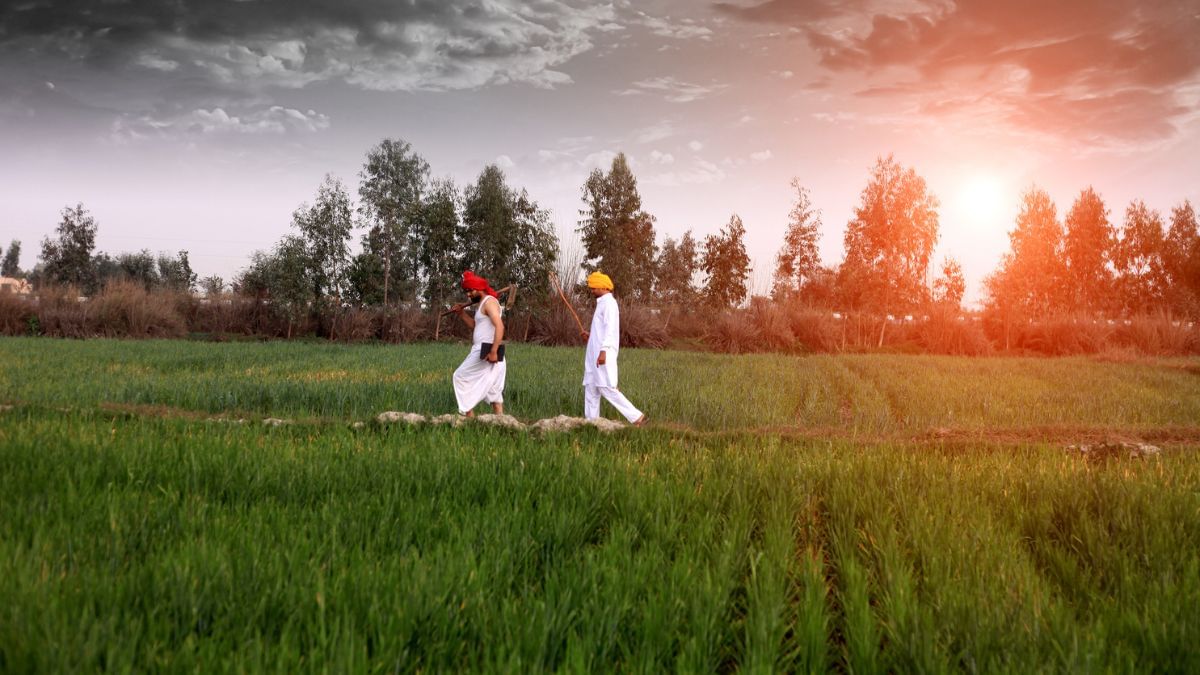 किसानों की बल्ले बल्ले, केन्द्र सरकार ने 1 लाख करोड़ रुपये के योजनाओं को दी मंजूरी किसानों की बल्ले बल्ले, केन्द्र सरकार ने 1 लाख करोड़ रुपये के योजनाओं को दी मंजूरी