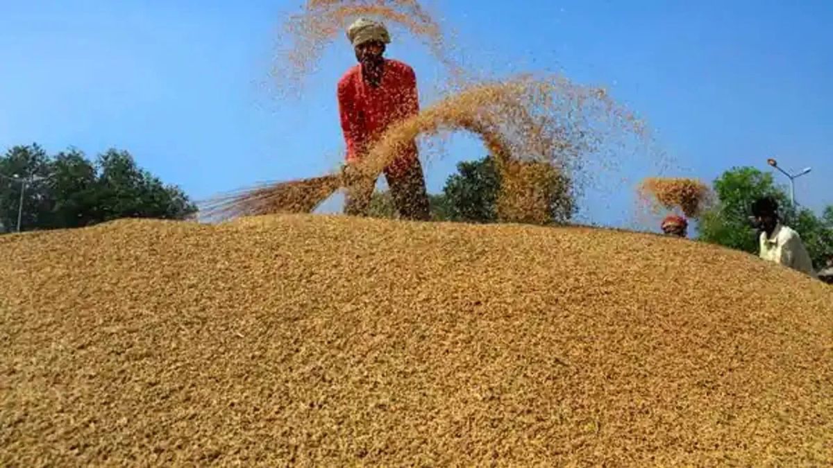 झारखंड में आज से शुरू हुई धान की खरीद, किसानों को 100 रुपये प्रति क्विंटल मिलेगा बोनस झारखंड में आज से शुरू हुई धान की खरीद, किसानों को 100 रुपये प्रति क्विंटल मिलेगा बोनस