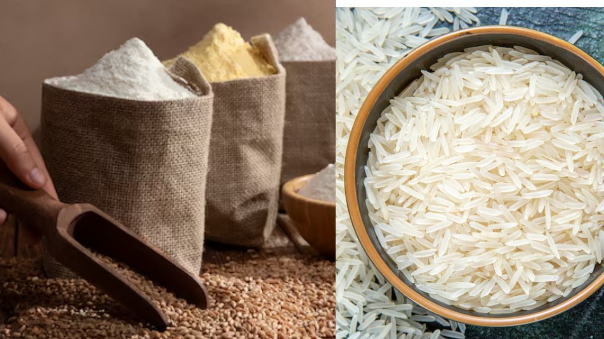 सरकार कल से बेचने जा रही सस्ता आटा और चावल, यहां पढ़ लें पूरी डिटेल सरकार कल से बेचने जा रही सस्ता आटा और चावल, यहां पढ़ लें पूरी डिटेल