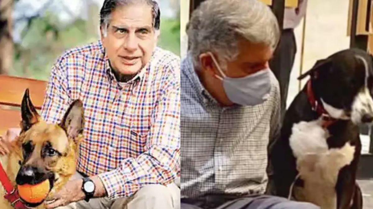 जानवरों से बेहद लगाव रखते थे रतन टाटा, पालतु डॉगी के बीमार पड़ने पर ठुकराया था ये बड़ा ऑफर जानवरों से बेहद लगाव रखते थे रतन टाटा, पालतु डॉगी के बीमार पड़ने पर ठुकराया था ये बड़ा ऑफर