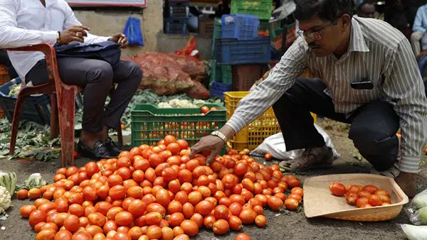 हिमाचल की बारिश ने तोड़ी टमाटर की सप्लाई चेन, दिल्ली-NCR में दाम 60 रुपये पार; सब्सिडी से कीमत घटाएगी सरकार हिमाचल की बारिश ने तोड़ी टमाटर की सप्लाई चेन, दिल्ली-NCR में दाम 60 रुपये पार; सब्सिडी से कीमत घटाएगी सरकार