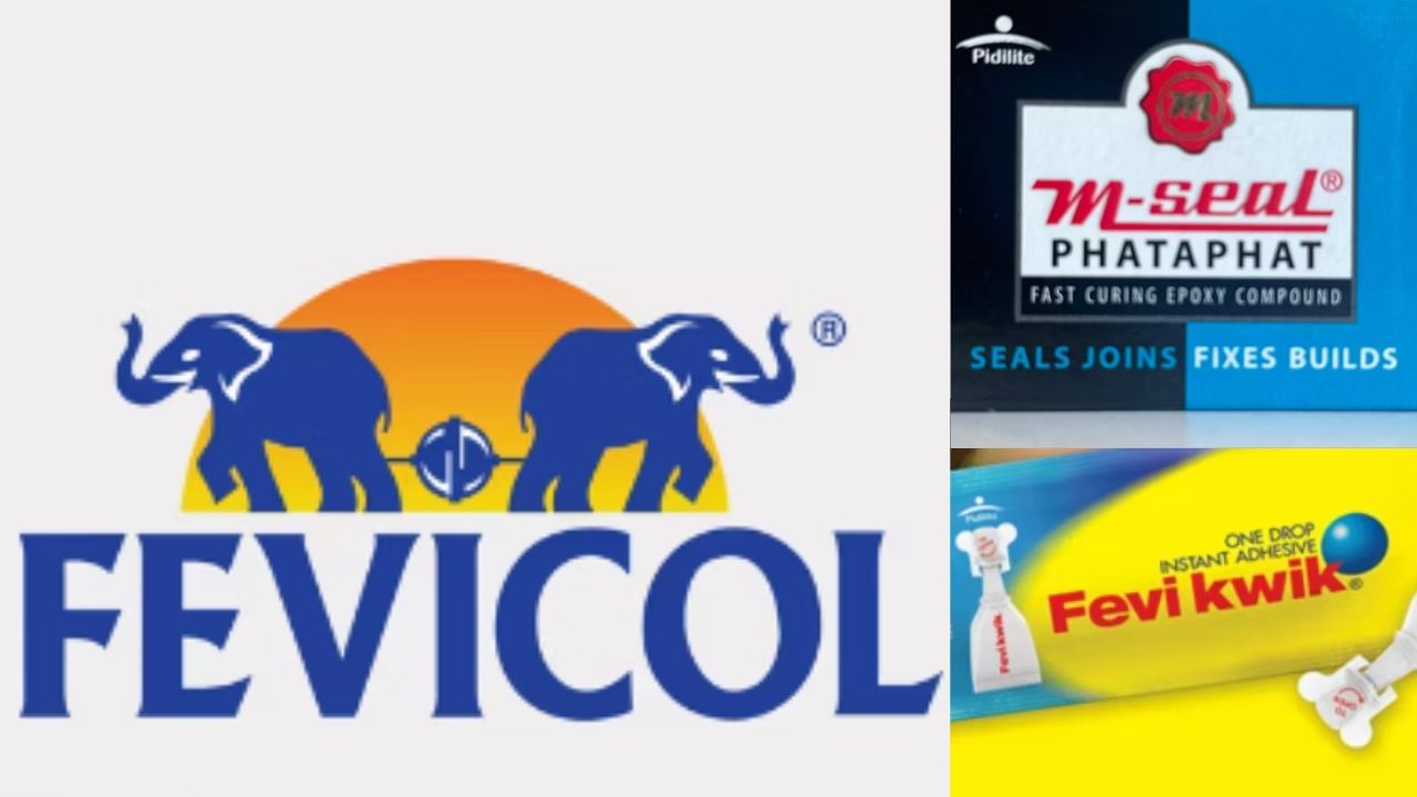 क्या एक ही कंपनी बनाती है Fevicol, Fevikwik, Mseal? जानें लें हकीकत क्या एक ही कंपनी बनाती है Fevicol, Fevikwik, Mseal? जानें लें हकीकत