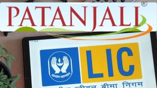 LIC ने खरीद लिए पतंजलि फूड्स के इतने शेयर, जानें- कितने रुपये में हुई डील