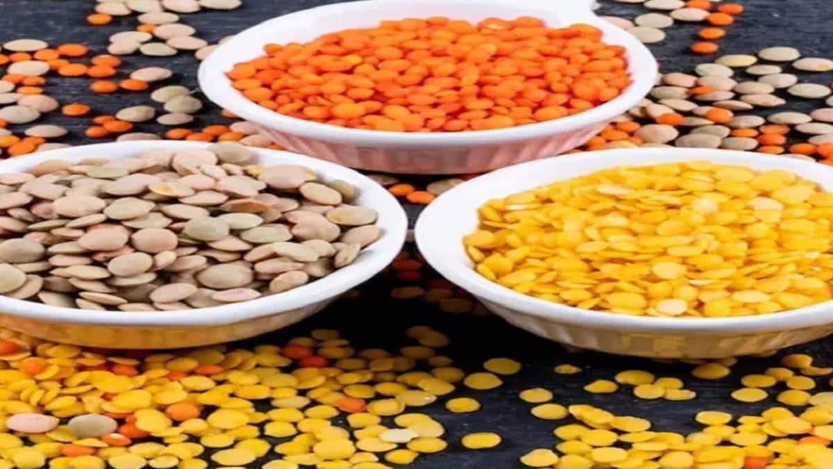 MSP से बहुत ज्यादा हुआ तुअर का भाव, जानें देश की टॉप मंडियों में अभी कितना है रेट MSP से बहुत ज्यादा हुआ तुअर का भाव, जानें देश की टॉप मंडियों में अभी कितना है रेट