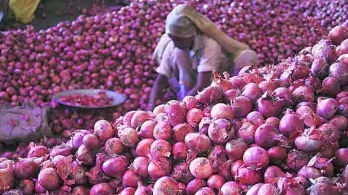 1341 टन प्याज लेकर दिल्ली पहुंची स्पेशल ट्रेन, अब कीमतों में जल्द शुरू होगी गिरावट? 1341 टन प्याज लेकर दिल्ली पहुंची स्पेशल ट्रेन, अब कीमतों में जल्द शुरू होगी गिरावट?