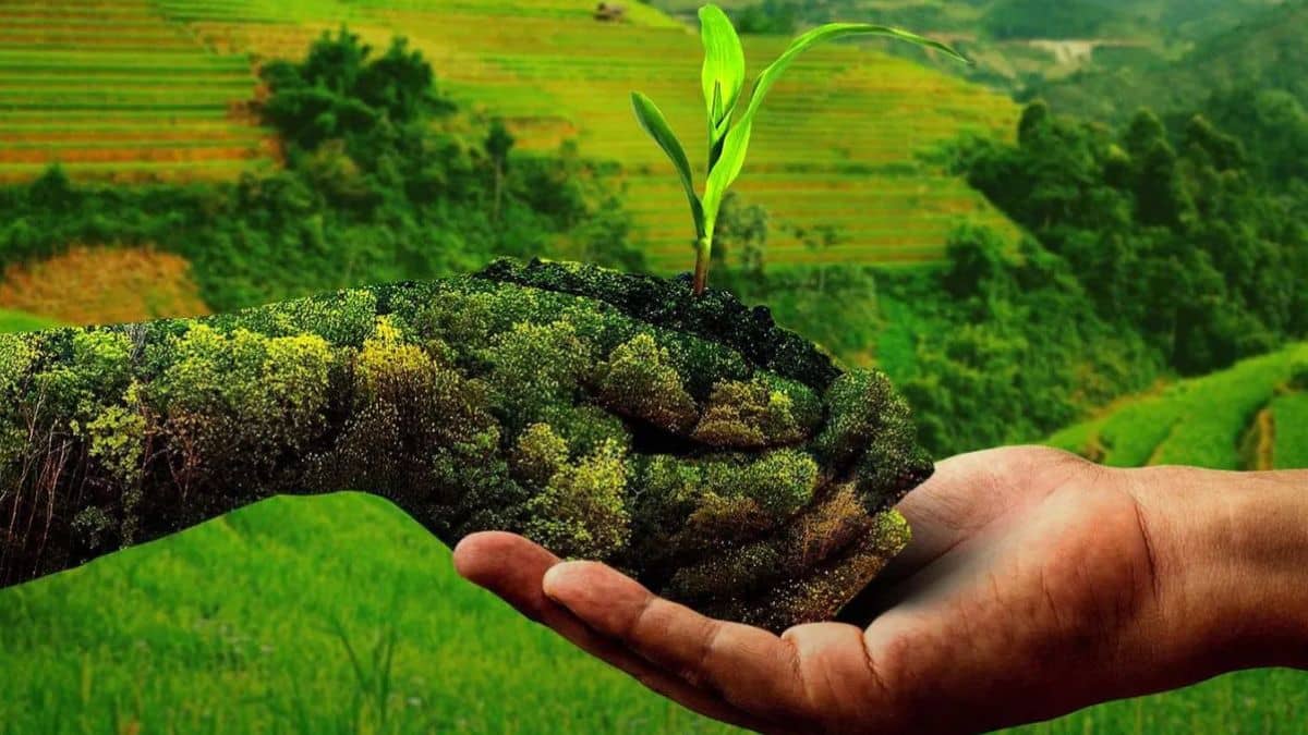 किसानों की आय को बूस्टर डोज, नेचुरल फॉर्मिंग मिशन के लिए 2,481 करोड़ देगी सरकार किसानों की आय को बूस्टर डोज, नेचुरल फॉर्मिंग मिशन के लिए 2,481 करोड़ देगी सरकार