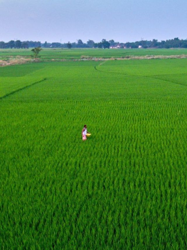 जियो के इस डिवाइस से अब किसान करेंगे पानी- मिट्टी की जांच, 5000 रुपये है कीमत