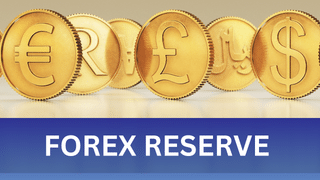 Forex reserves: लगातार गिरावट जारी, घटकर 652.87 अरब डॉलर पहुंचा