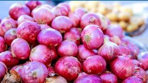 Onion price fall: एक दिन में 18 फीसदी गिरकर 700 रुपये क्विंटल हुआ प्याज, नाराज किसानों ने रोकी नीलामी