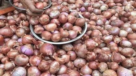 Onion price fall: अचानक 50 फीसदी सस्ता हुआ प्याज, जानें अब कितनी हुई कीमत