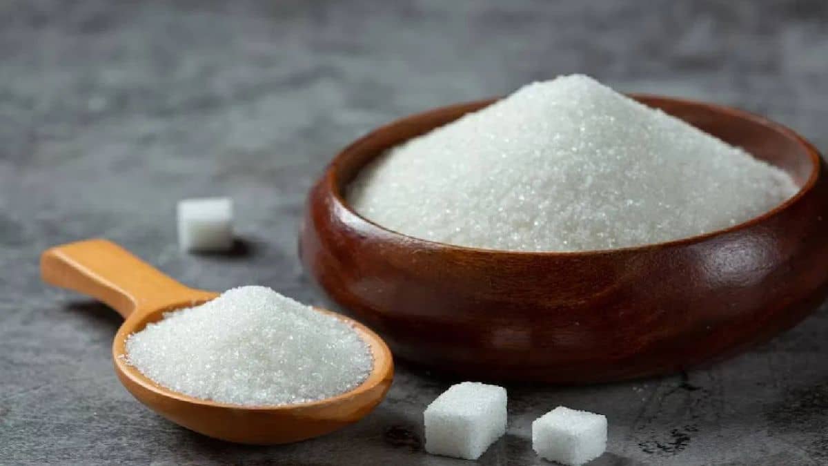 चीनी उत्पादन में गिरावट के बावजूद UP बना नंबर 1, जानें कर्नाटक और महाराष्ट्र की स्थिति चीनी उत्पादन में गिरावट के बावजूद UP बना नंबर 1, जानें कर्नाटक और महाराष्ट्र की स्थिति