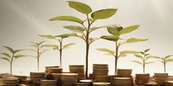 Mutual Funds पर आसानी से मिलेगा लोन, जानें प्रोसेस और क्या है SBI का रेट Mutual Funds पर आसानी से मिलेगा लोन, जानें प्रोसेस और क्या है SBI का रेट