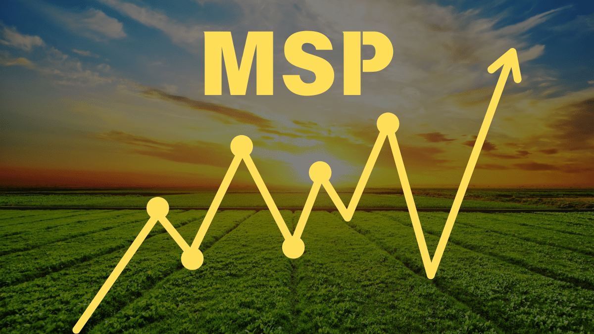 नए साल पर किसानों को सरकार की सौगात! इस फसल की MSP पर 420 रुपये की बढ़ोतरी