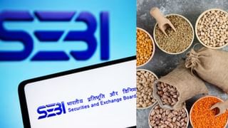 Sebi का अहम फैसला, 7 एग्री कॉमोडिटीज की फ्यूचर्स ट्रेडिंग पर लगी पाबंदी बढ़ाई