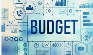 Budget 2025: पेट्रोल-डीजल-घर करें सस्ता, चीन से सस्ते आयात पर लगे रोक, इंडस्ट्री ने वित्त मंत्री से की ये डिमांड