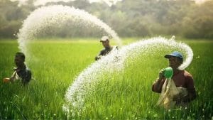 अप्रैल-जनवरी में यूरिया-DAP का आयात 63 फीसदी बढ़ा, पश्चिम एशिया में तनाव के बीच सरकार ने सुनिश्चित की सप्लाई