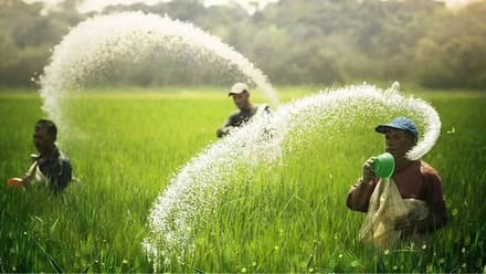 अप्रैल-जनवरी में यूरिया-DAP का आयात 63 फीसदी बढ़ा, पश्चिम एशिया में तनाव के बीच सरकार ने सुनिश्चित की सप्लाई