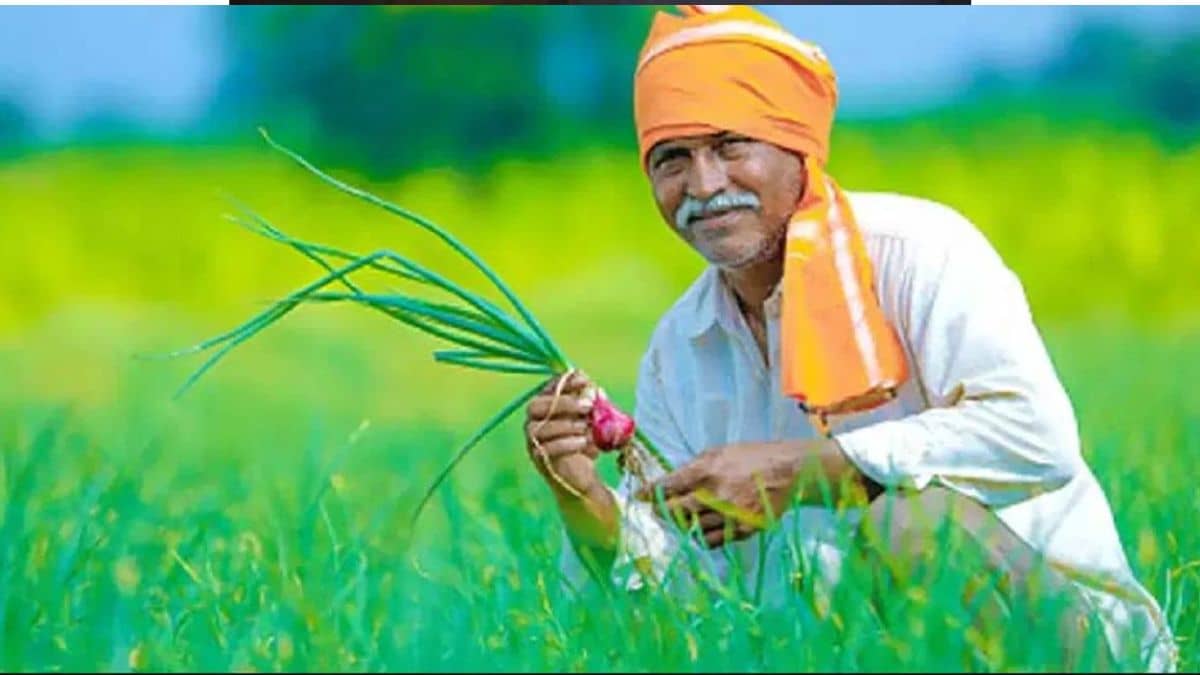 हरियाणा में खरीफ सीजन के लिए प्रधानमंत्री फसल बीमा योजना का आवेदन शुरू, 31 जुलाई है आखिरी तारीख हरियाणा में खरीफ सीजन के लिए प्रधानमंत्री फसल बीमा योजना का आवेदन शुरू, 31 जुलाई है आखिरी तारीख
