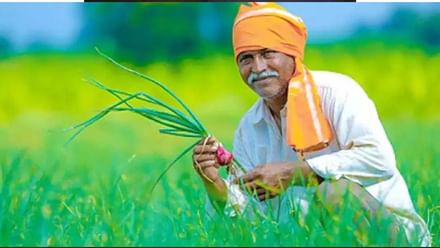 हरियाणा में खरीफ सीजन के लिए प्रधानमंत्री फसल बीमा योजना का आवेदन शुरू, 31 जुलाई है आखिरी तारीख