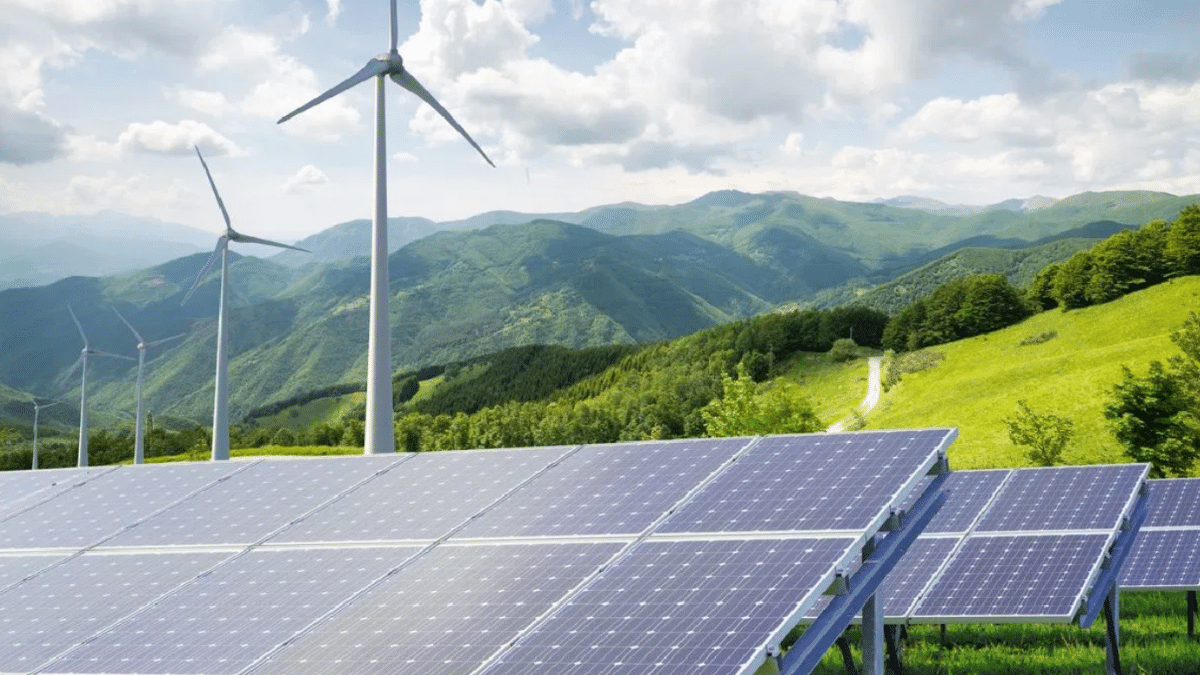 Renewable Energy Share expectations from budget