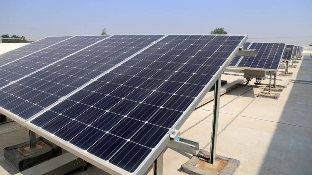 ट्रंप टैरिफ की आहट से धड़ाम हुए सोलर शेयर, इन 2 कंपनियों का अमेरिका में बड़ा एक्सपोजर, इस बात का खतरा! ट्रंप टैरिफ की आहट से धड़ाम हुए सोलर शेयर, इन 2 कंपनियों का अमेरिका में बड़ा एक्सपोजर, इस बात का खतरा!