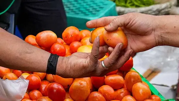 Economic Survey 2025: टमाटर-प्याज ने सबसे ज्यादा बिगाड़ा खेल, महंगाई को रोकने के लिए ये कदम जरूरी Economic Survey 2025: टमाटर-प्याज ने सबसे ज्यादा बिगाड़ा खेल, महंगाई को रोकने के लिए ये कदम जरूरी