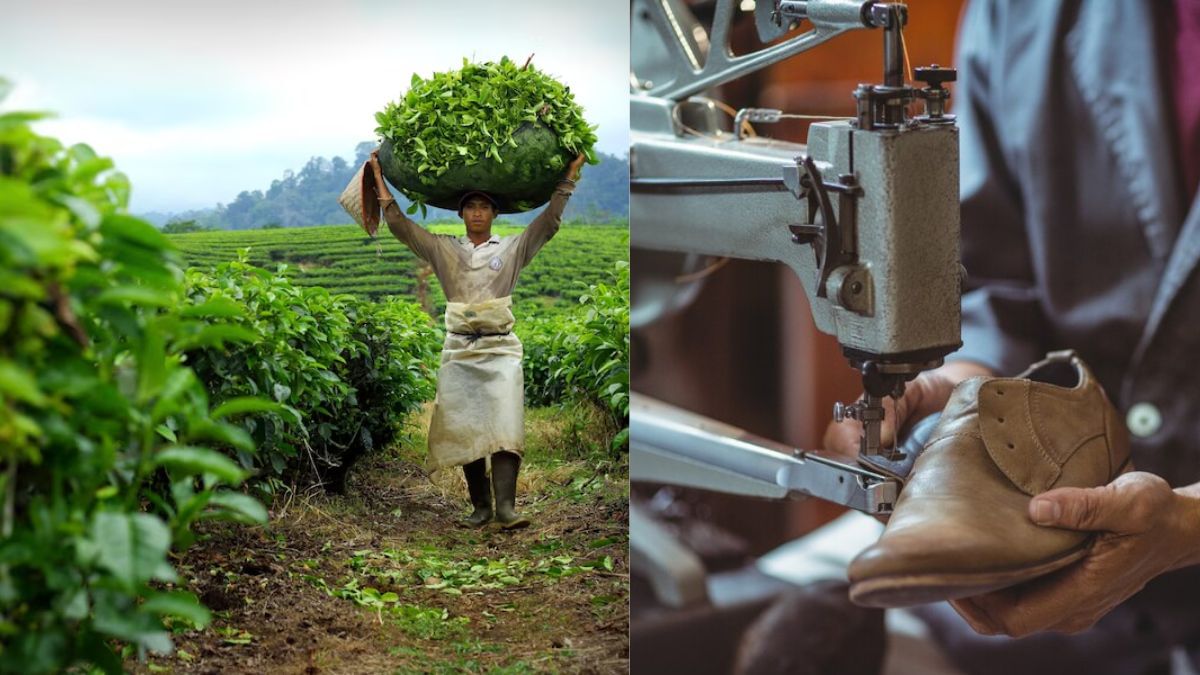 Economic Survey 2025: केरल और तमिलनाडु पर फिदा हुए CEA, बोले एग्रीकल्चर और फुटवियर इंडस्ट्री में दिखा इनका दम Economic Survey 2025: केरल और तमिलनाडु पर फिदा हुए CEA, बोले एग्रीकल्चर और फुटवियर इंडस्ट्री में दिखा इनका दम