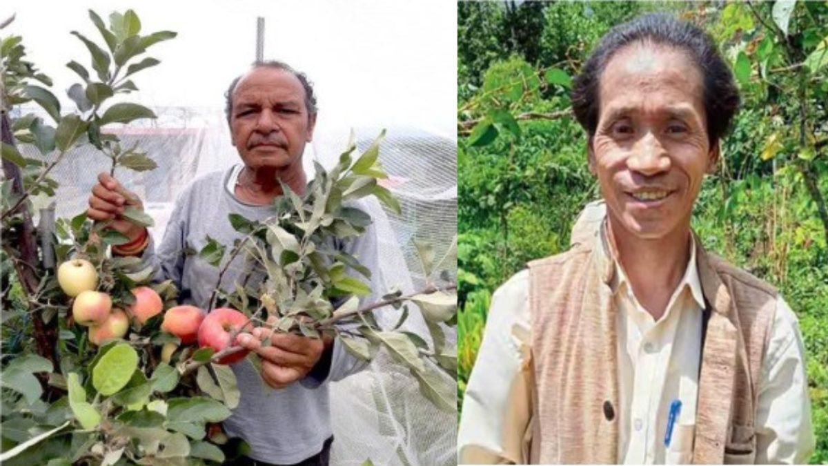 Padma Award 2025: हिमाचल और नागालैंड के इन दो किसानों को मिलेगा पद्मश्री, अपने हुनर से कर दिया कमाल Padma Award 2025: हिमाचल और नागालैंड के इन दो किसानों को मिलेगा पद्मश्री, अपने हुनर से कर दिया कमाल
