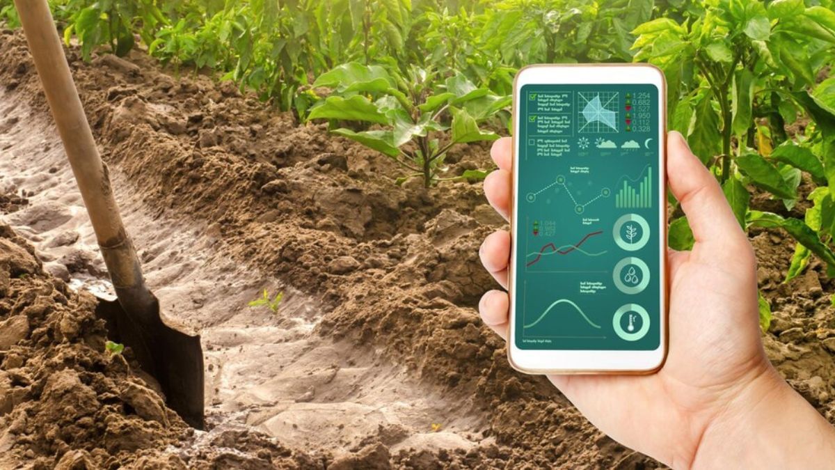 कमाल के हैं ये APP, इनकी लॉन्चिंग से खेती करना हो गया आसान; मिनटों में हो जाती है मिट्टी की जांच कमाल के हैं ये APP, इनकी लॉन्चिंग से खेती करना हो गया आसान; मिनटों में हो जाती है मिट्टी की जांच