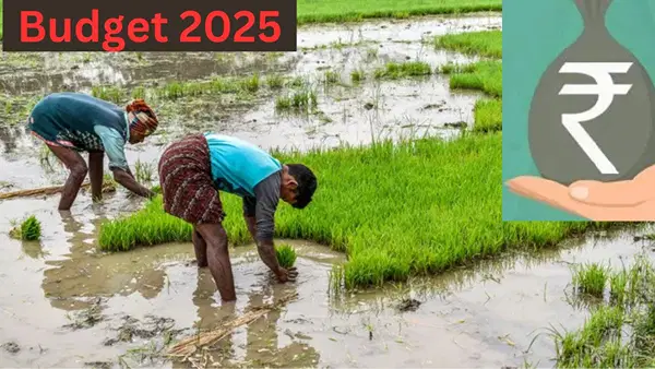 Agriculture Budget 2025 LIVE: कृषि पर रहेगा फोकस, किसानों की इनकम बढ़ाने के लिए सरकार उठा सकती है ये कदम Agriculture Budget 2025 LIVE: कृषि पर रहेगा फोकस, किसानों की इनकम बढ़ाने के लिए सरकार उठा सकती है ये कदम