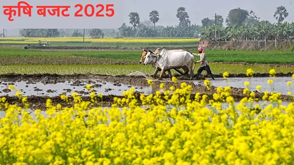 Agriculture Budget 2025: क्या PM किसान की राशि में होनी वाली है बढ़ोतरी, जानें क्या हैं अटकलें Agriculture Budget 2025: क्या PM किसान की राशि में होनी वाली है बढ़ोतरी, जानें क्या हैं अटकलें