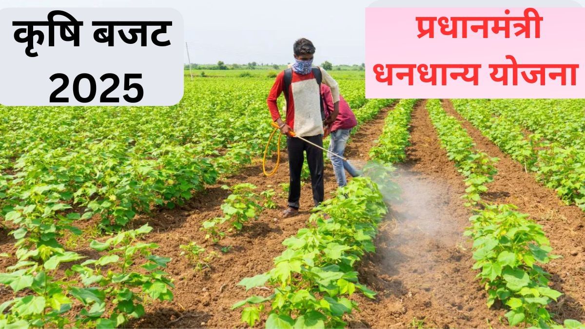 Agriculture Budget 2025: प्रधानमंत्री धन-धान्य कृषि योजना की होगी शुरुआत, 1.7 करोड़ किसानों को होगा फायदा