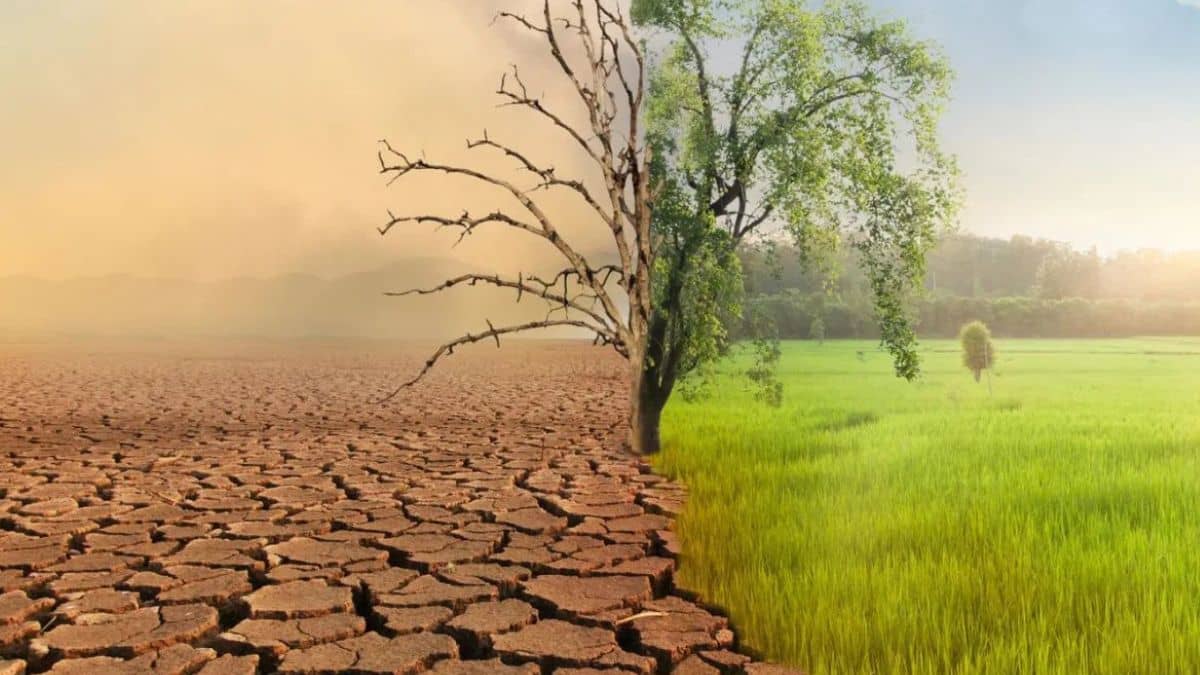 बढ़ता तापमान किसानों के लिए ला सकता है मुश्किलें, अगले 5 साल में बढ़ सकते हैं कृषि लोन डिफॉल्ट के मामले बढ़ता तापमान किसानों के लिए ला सकता है मुश्किलें, अगले 5 साल में बढ़ सकते हैं कृषि लोन डिफॉल्ट के मामले