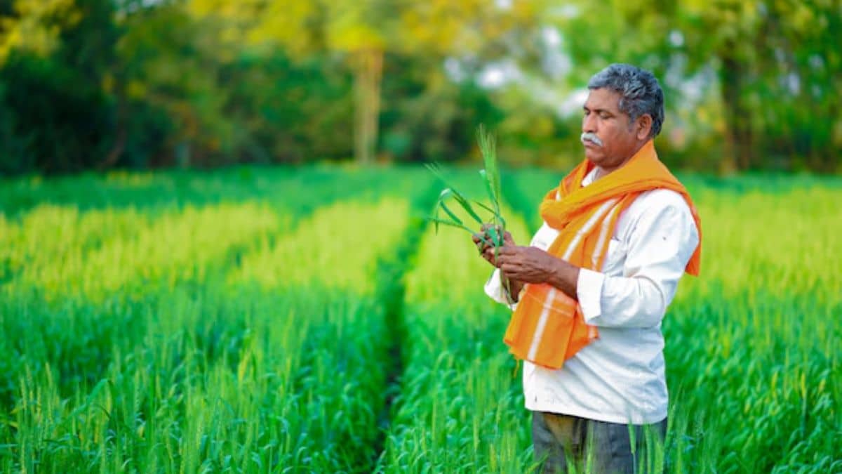 हर किसान परिवार पर औसतन 74,121 का कर्ज, आंध्रप्रदेश, केरल जैसे राज्यों में सबसे ज्यादा हर किसान परिवार पर औसतन 74,121 का कर्ज, आंध्रप्रदेश, केरल जैसे राज्यों में सबसे ज्यादा
