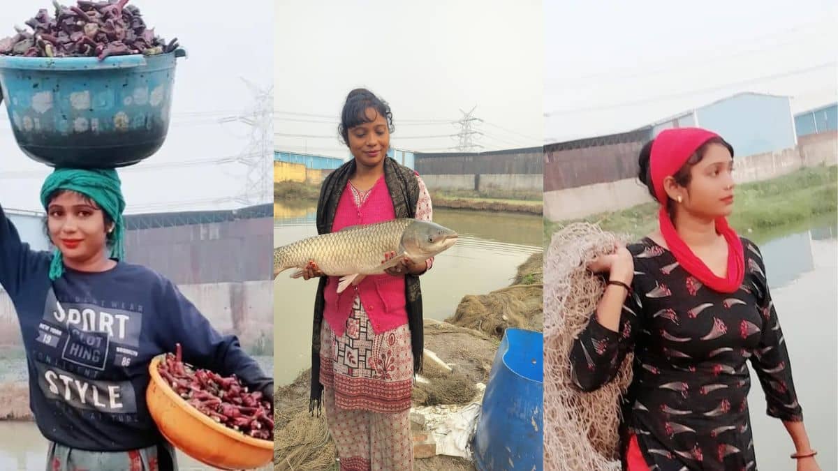 गाजियाबाद में मछली और सिंघाड़े की खेती से लखपति बन गई महिला, PM मोदी भी कर चुके हैं तारीफ गाजियाबाद में मछली और सिंघाड़े की खेती से लखपति बन गई महिला, PM मोदी भी कर चुके हैं तारीफ