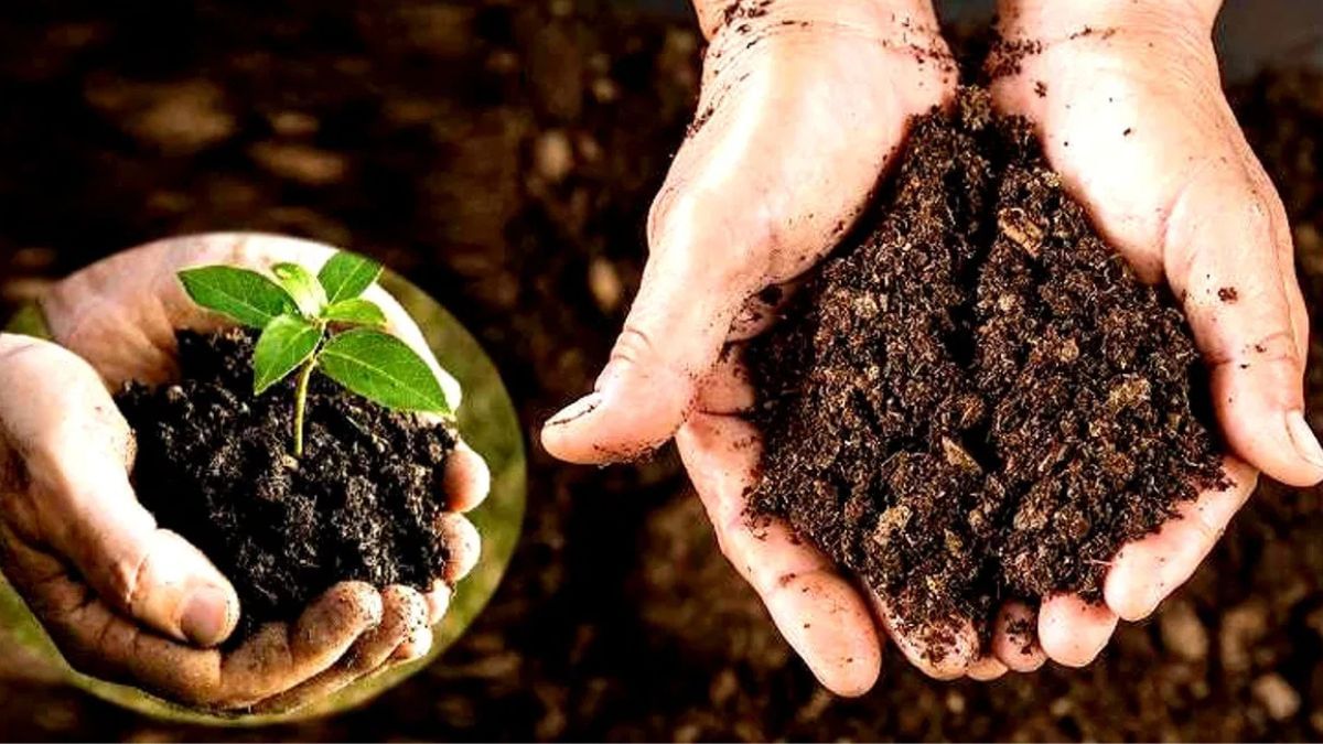 मिट्टी के हेल्थ में सुधार के लिए बहुत जरूरी है सॉइल टेस्टिंग, फसल कवर और फसल चक्र, नहीं तो… मिट्टी के हेल्थ में सुधार के लिए बहुत जरूरी है सॉइल टेस्टिंग, फसल कवर और फसल चक्र, नहीं तो…