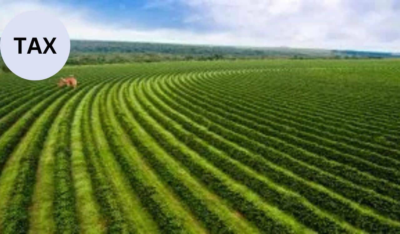 खेती की जमीन बेचने पर कितना लगता है टैक्स, जानें आबादी और दूरी का फॉर्मूला खेती की जमीन बेचने पर कितना लगता है टैक्स, जानें आबादी और दूरी का फॉर्मूला