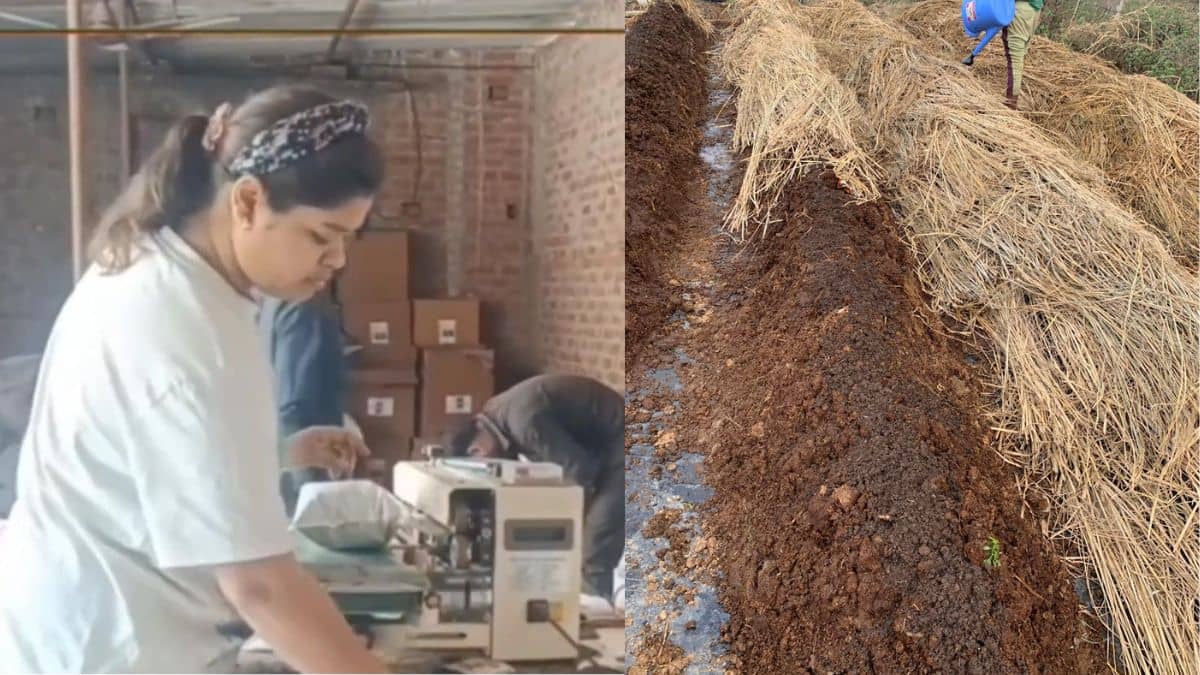 नौकरी छोड़ गांव में खेती कर रही MBA पास ये लड़की, वर्मी कंपोस्ट बेचकर 4 साल में बन गई करोड़पति नौकरी छोड़ गांव में खेती कर रही MBA पास ये लड़की, वर्मी कंपोस्ट बेचकर 4 साल में बन गई करोड़पति