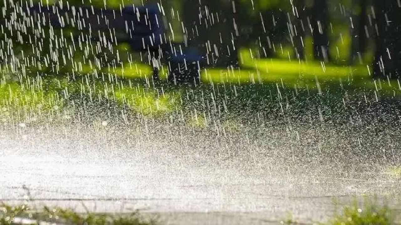 होली के दिन रंगों के साथ बरसेगा मेघ, मौसम विभाग ने लगाया बूंदाबांदी का अनुमान होली के दिन रंगों के साथ बरसेगा मेघ, मौसम विभाग ने लगाया बूंदाबांदी का अनुमान