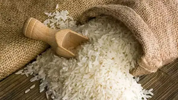 इस दिन से आम जनता को मुफ्त में मिलेगा बेहतरीन क्वालिटी का चावल, 84 फीसदी लोगों को होगा फायदा इस दिन से आम जनता को मुफ्त में मिलेगा बेहतरीन क्वालिटी का चावल, 84 फीसदी लोगों को होगा फायदा