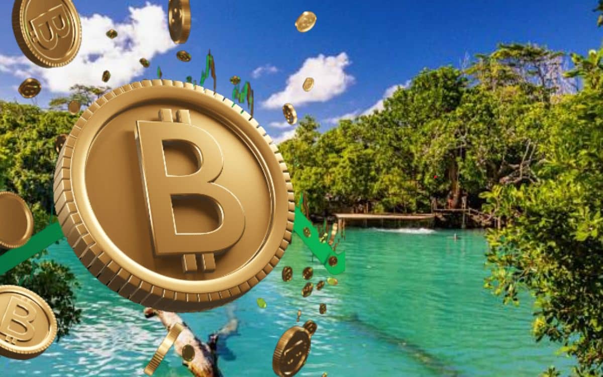 बिटक्वॉइन से इस देश में मिल जाती है नागरिकता? ललित मोदी ने भी ले रखी है सीटीजनशिप बिटक्वॉइन से इस देश में मिल जाती है नागरिकता? ललित मोदी ने भी ले रखी है सीटीजनशिप