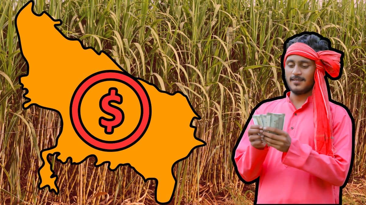 गन्ना बनेगा यूपी की इकोनॉमी का इंजन, 1 ट्रिलियन डॉलर का सपना होगा साकार गन्ना बनेगा यूपी की इकोनॉमी का इंजन, 1 ट्रिलियन डॉलर का सपना होगा साकार